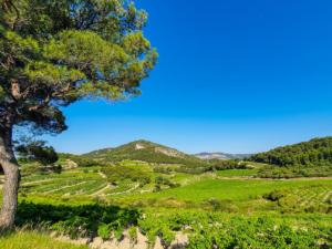 Ventoux 2019-115