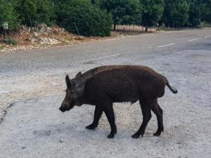 Ventoux 2019-36