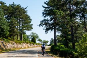 Ventoux 2019-72